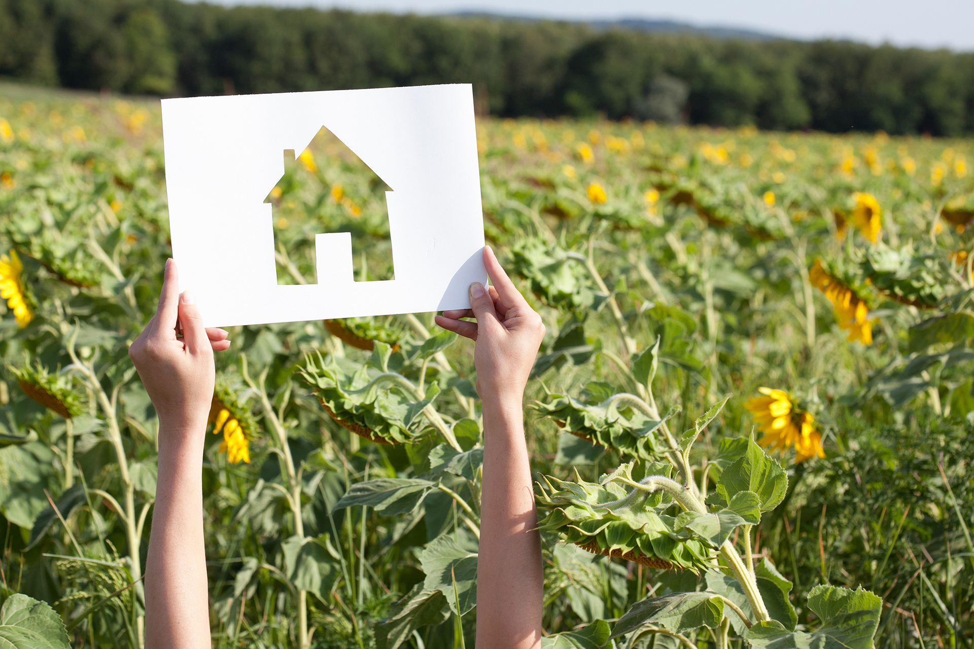 The unexpected home upgrade that could save you thousands