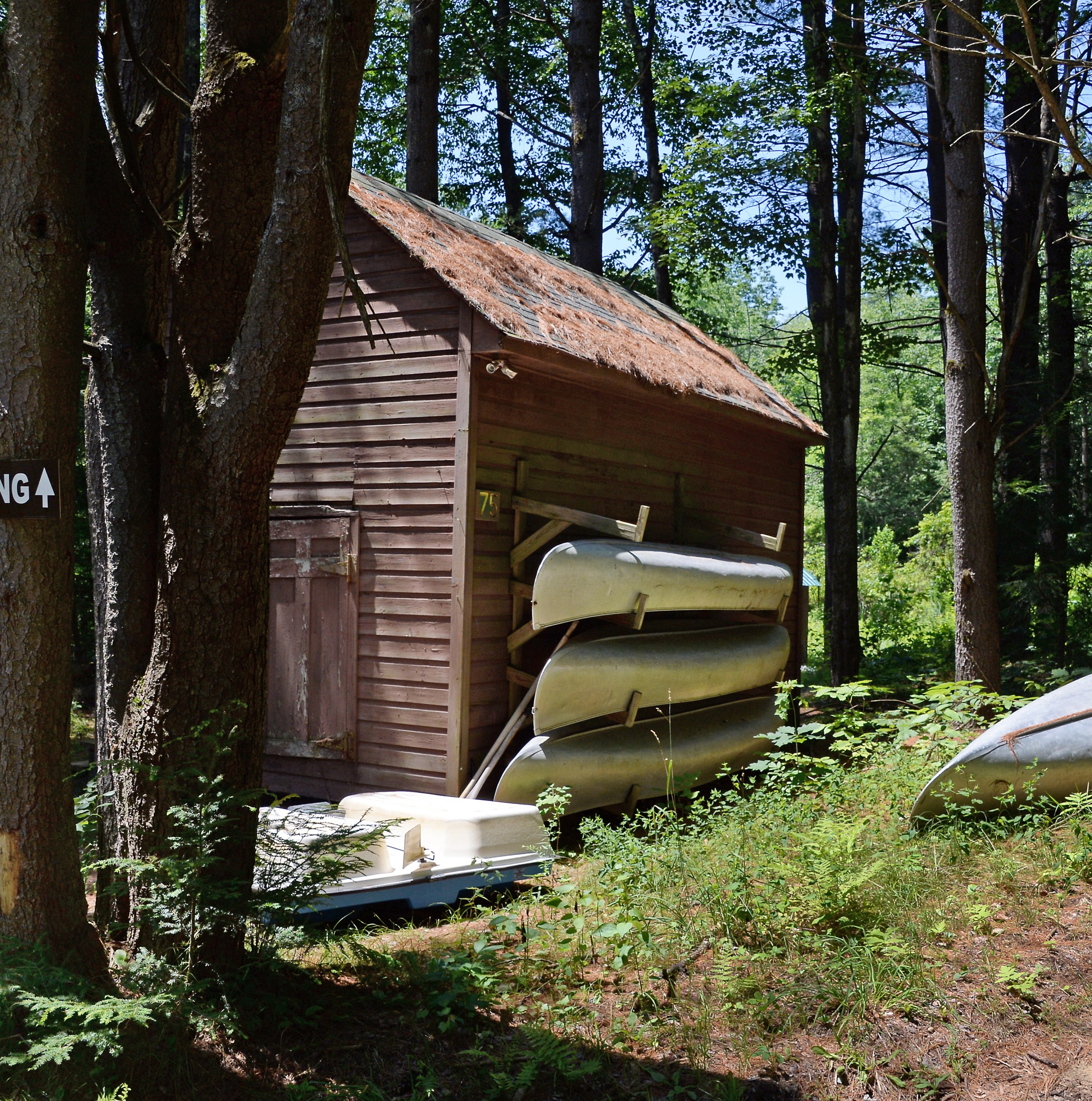 How summer camp became an American obsession