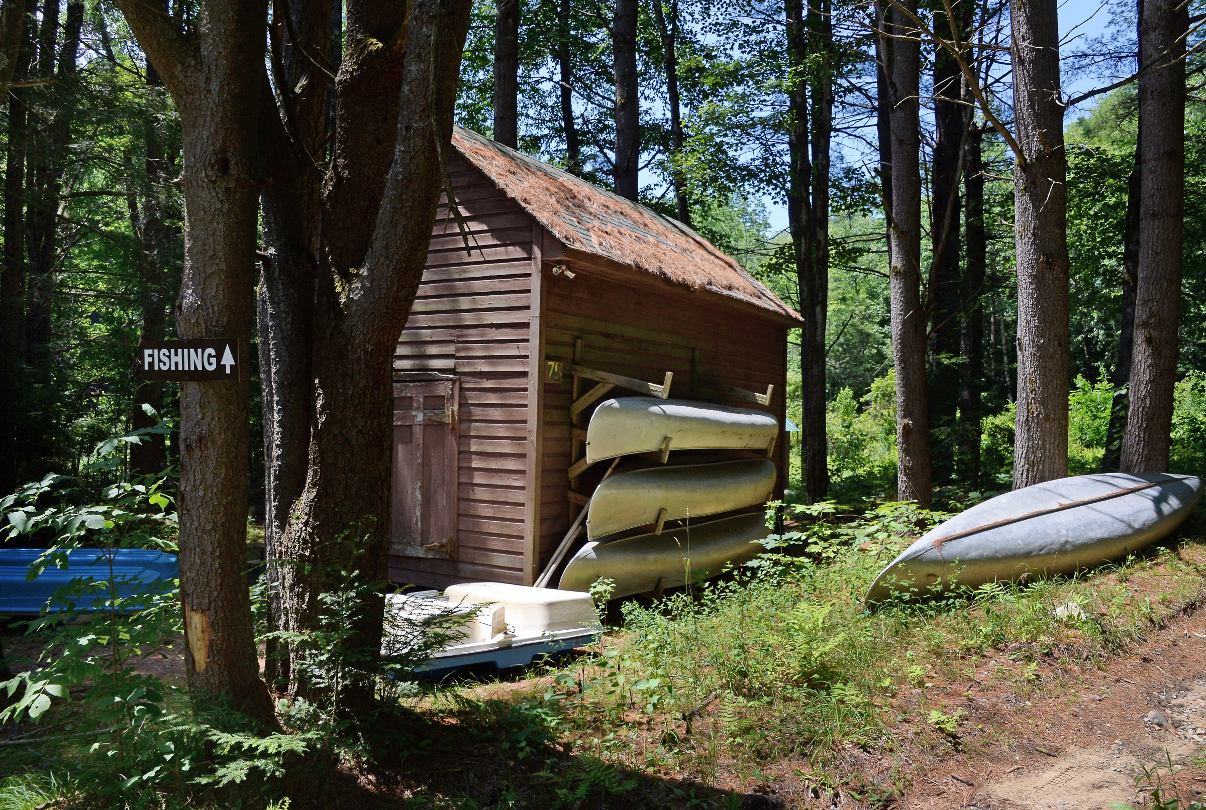 How summer camp became an American obsession