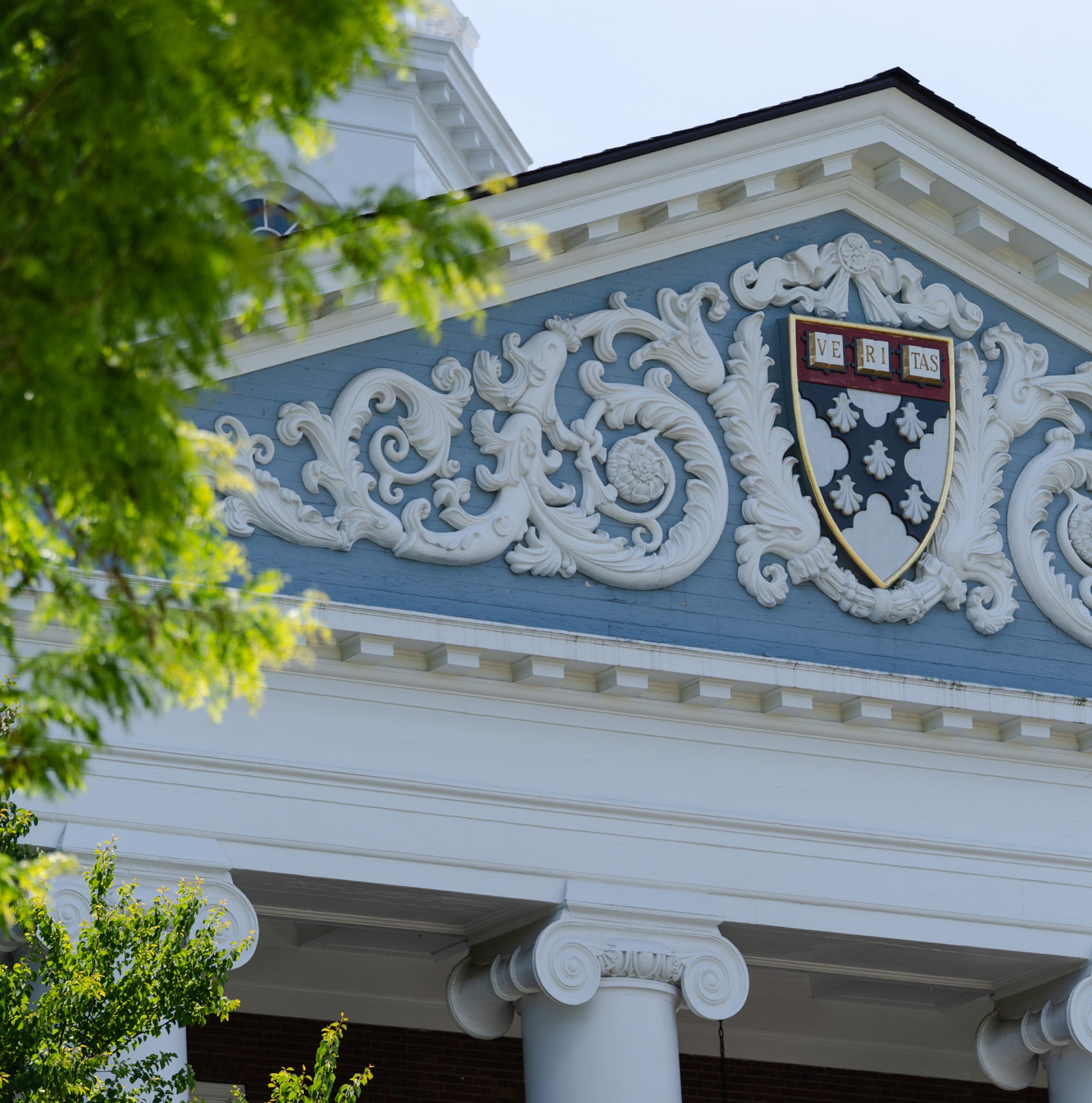 Harvard just fired a tenured professor for the first time in 80 years. Good.