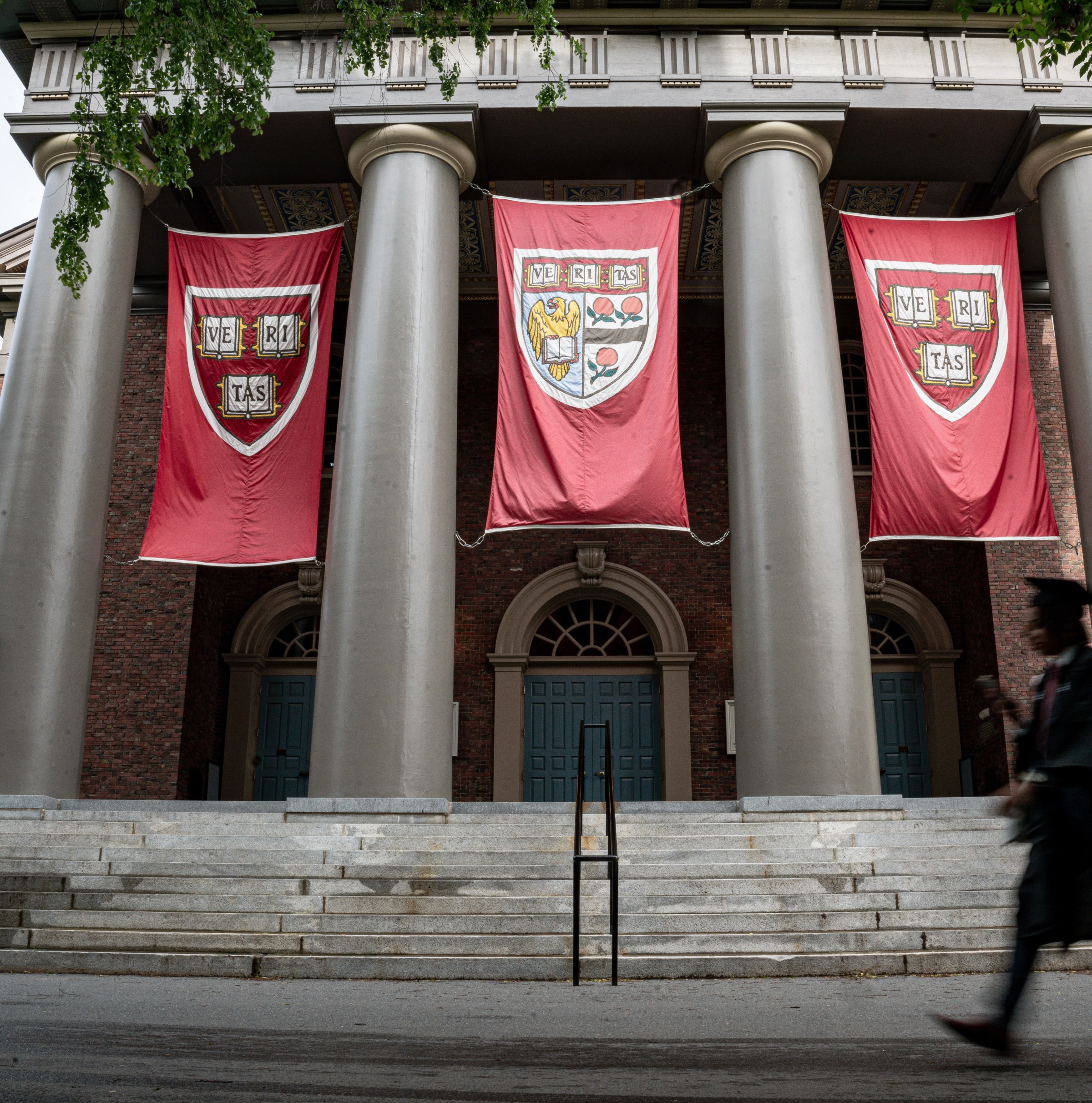 Trump figured out how to hit Harvard where it really hurts