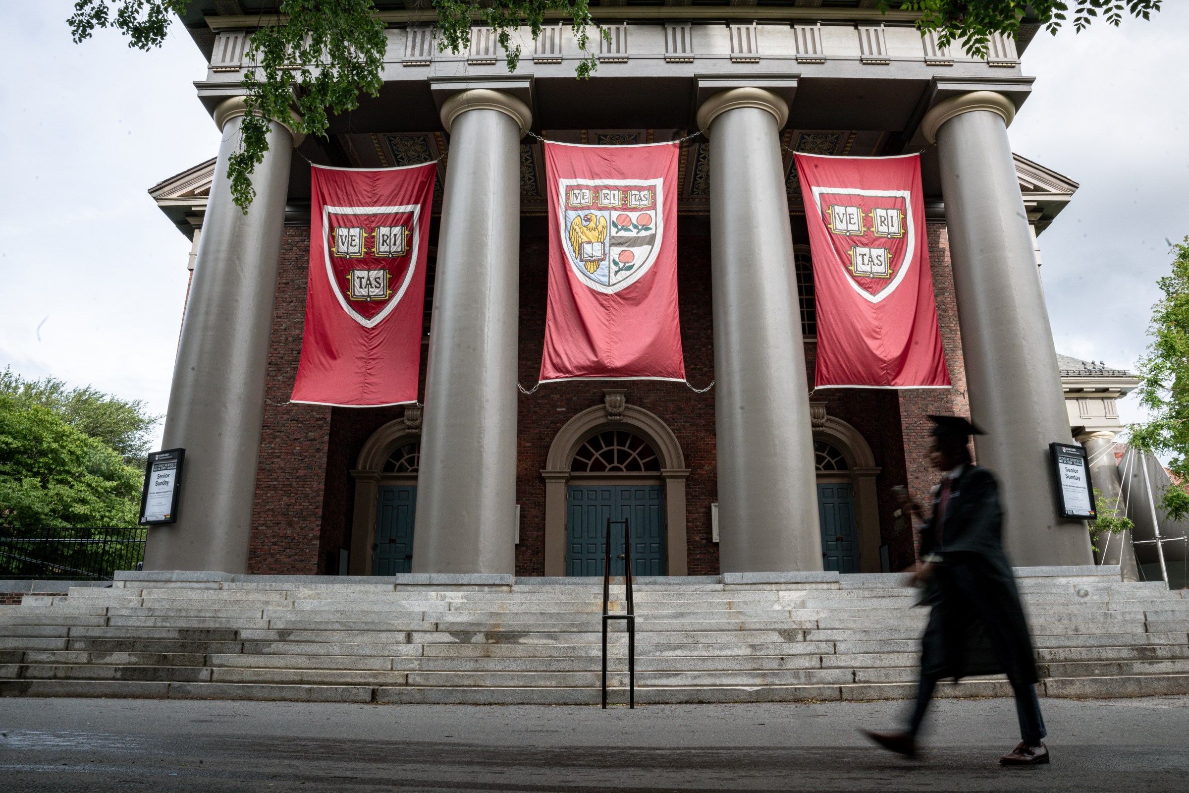 Trump figured out how to hit Harvard where it really hurts
