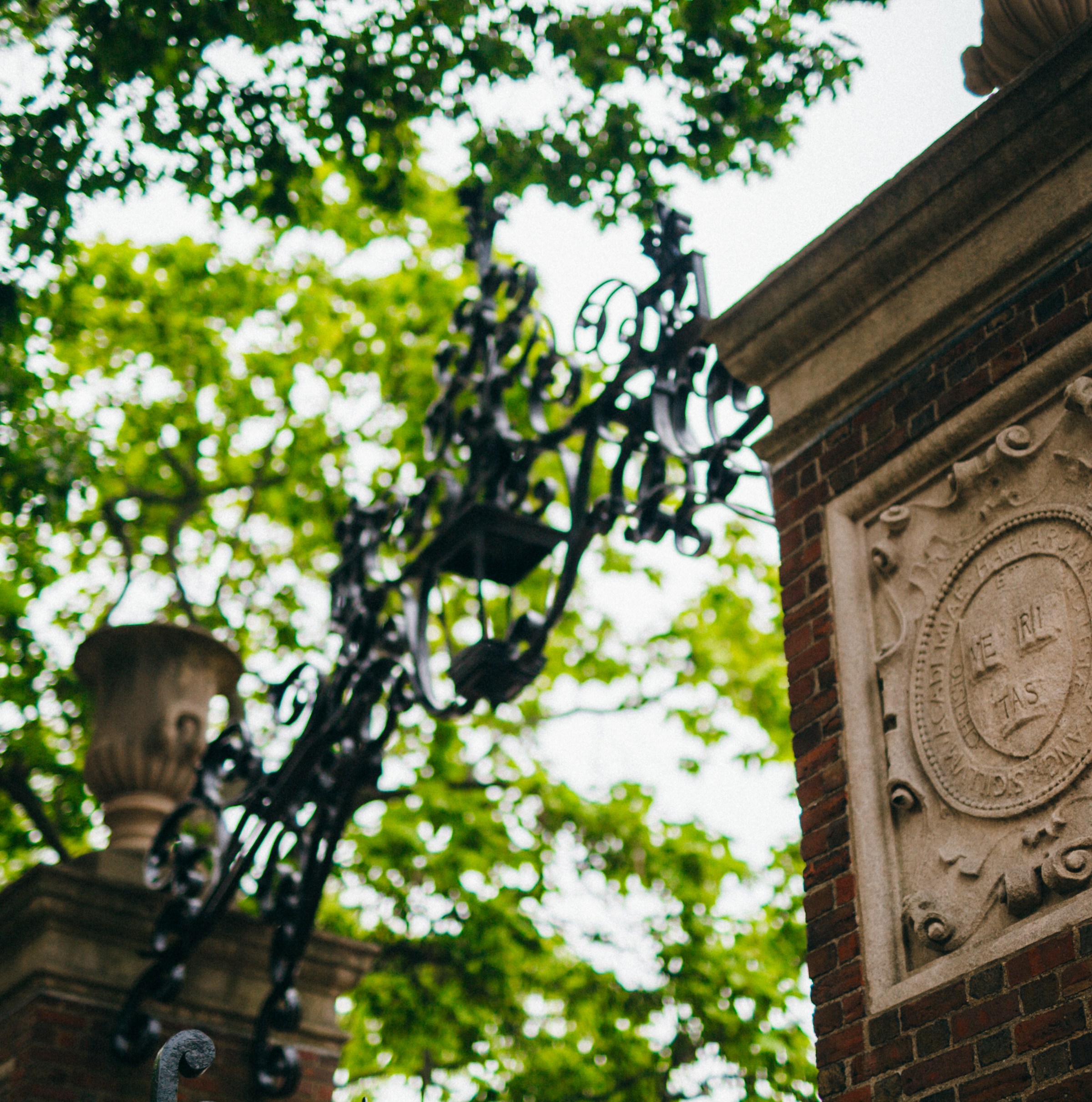What will happen to the US when Harvard can’t be Harvard