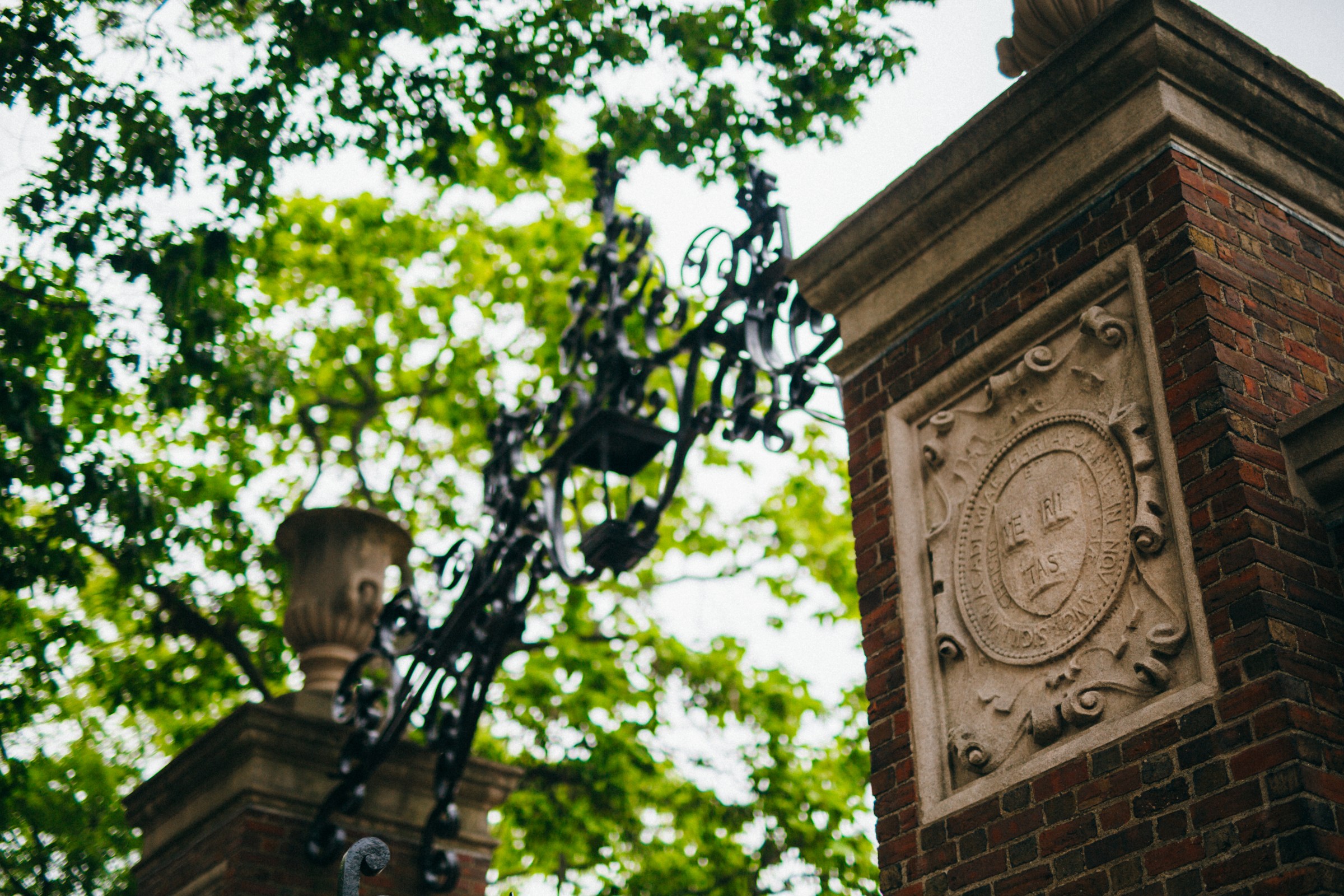 What will happen to the US when Harvard can’t be Harvard
