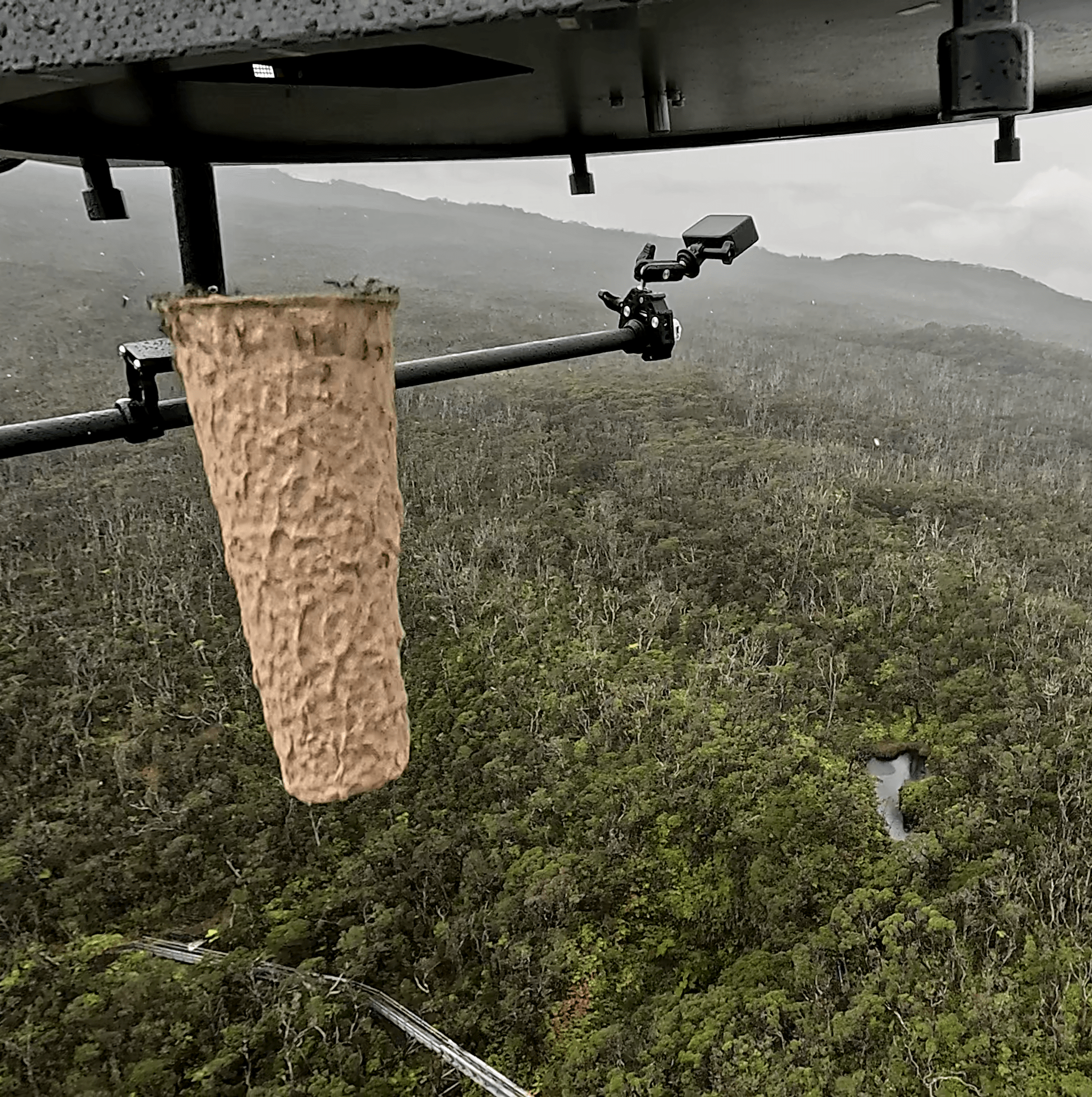 Scientists are dropping live mosquitoes out of drones in Hawaii. Here’s why.